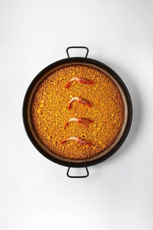 XV JORNADAS DE LOS ARROCES DE LA TIERRA