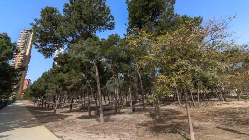 El albergue y zona de acampada de la Séquia Mare entran en su última fase constructiva con el vallado perimetral de estos espacios