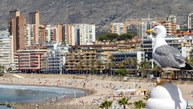 Benidorm destina 56.000 euros a ajudes per a fomentar l’ocupació en les associacions empresarials de la ciutat