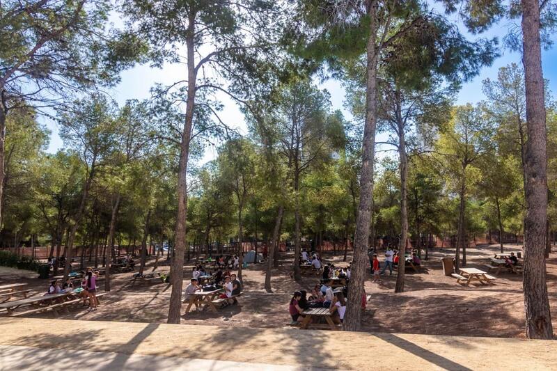 Actividades Albergue