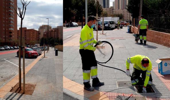 Benidorm completa la renovación de la avenida Calpe