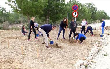 Los escolares de Benidorm plantan 200 árboles para conmemorar el Día del Árbol