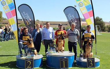 Exhibition of German Shepherds in Guillermo Amor