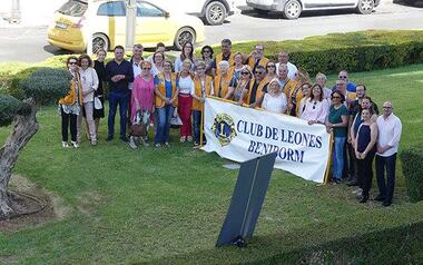 Un olivo de 600 años para conmemorar en Benidorm el centenario del Club de Leones
