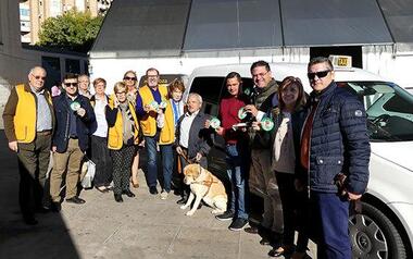 El transporte público de Benidorm abre sus puertas a los perros guía 