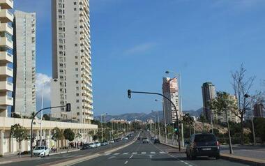 Benidorm plantará cerca de 300 nuevos árboles en la avenida del Alcalde Vicente Pérez Devesa