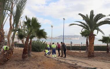 Escena Urbana acondiciona paisajísticamente el Parque de Tamarindos