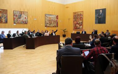 El pleno aprueba la regulación que prohíbe a los vehículos de movilidad personal circular por las aceras, salvo en casos de diversidad funcional