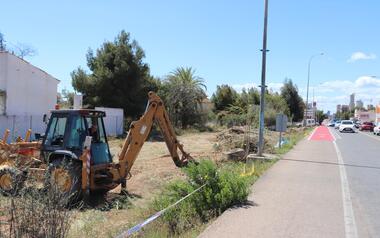Escena Urbana adecúa el entorno del cruce de ‘l’Estanquet’ y estudia plantar más palmeras en la Comunidad Valenciana