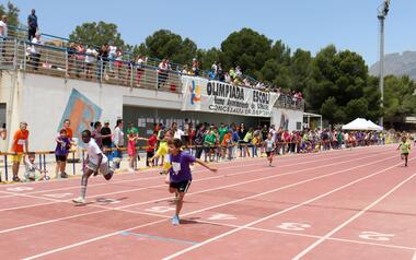 900 alumnes de Primària participen en la XXXV Olimpíada Escolar de Benidorm
