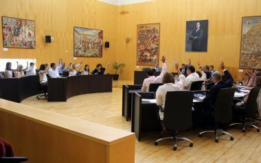 El pleno pide a Las Cortes Generales que ‘el trile’ sea considerado delito