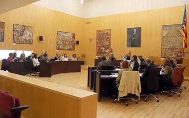 El pleno respalda la moción del gobierno local para que la Generalitat permita al sector del taxi disponer de vehículos de 7 plazas 