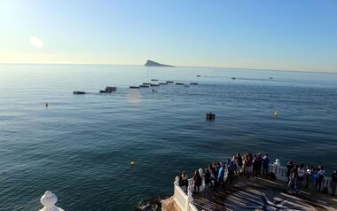 The bay of Benidorm lives the III Regatta of Suma de Falucho League, Autonómico for Youth and Veterans