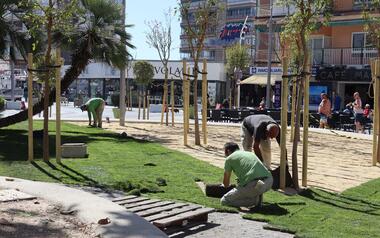 Benidorm inicia las labores de jardinería en la renovada Plaza de la Hispanidad