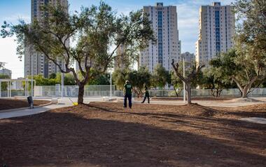 The students of the Benidorm VIII Employment Workshop perform works in new green areas of the city