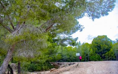 Benidorm da luz verde a los proyectos EDUSI en El Moralet, Colonia Madrid y Els Tolls