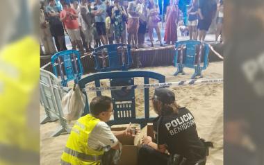 Nacen varias decenas de ejemplares de tortuga boba en la playa de Levante de Benidorm
