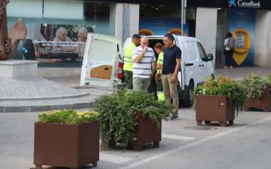 Benidorm mejora las zonas verdes del Paseo de Poniente y las casi 300 jardineras de la ciudad 