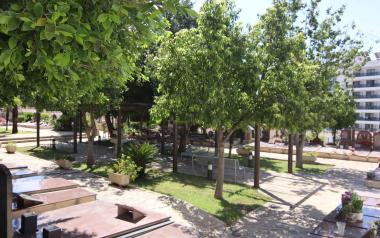 Benidorm mejora la ornamentación de cementerios y jardineras con la colocación de más de 12.000 plantas 