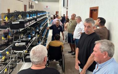 El XXIV Campeonato de Ornitología ‘Villa de Benidorm’ se cierra con más de 800 aves inscritas 