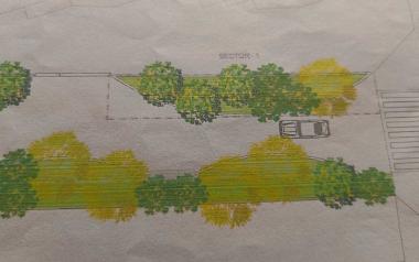 Benidorm extiende la renaturalización de espacios públicos a la calle Miguel Martorell