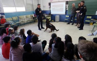 La Unidad Canina de la Policía Local acerca su trabajo a los escolares de Benidorm