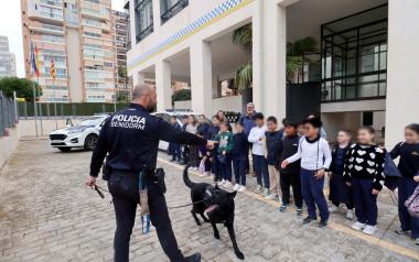 La Policía Local de Benidorm acerca su trabajo a cientos de escolares en sus jornadas de puertas abiertas