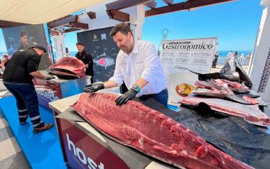 Benidorm presenta la VI edición de las ‘Jornadas del Atún’ con el ronqueo de un ejemplar de 280 kilos 
