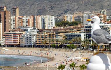 Benidorm destina 56.000 euros a ayudas para fomentar el empleo en las asociaciones empresariales de la ciudad