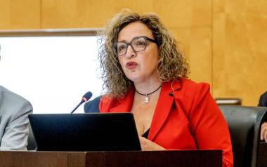 El PP lleva a pleno una moción para solicitar la cesión gratuita de pisos y solares de la Sareb para promover vivienda pública en Benidorm