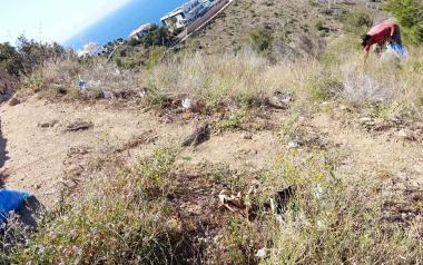 Benidorm acomete una limpieza intensiva en los acantilados de la Serra Gelada 