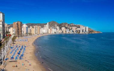 Benidorm compensa con la plantación de más de 1.800 árboles la huella de carbono generada desde 2015 por sus acciones de promoción 