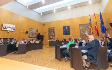Pleno ordinario mayo
