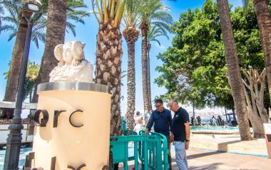 Benidorm repone ejemplares de palmeras dañadas en el Parque de Elche, Paseo de Colón y avenida Bilbao