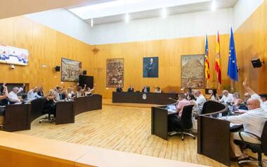 Pleno ordinario julio 2026