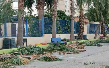 Benidorm realiza mejoras en la jardinería de 13 colegios antes del inicio del curso escolar 