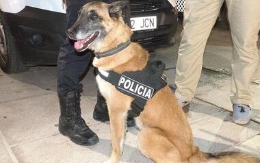 La Policía Local incorpora dos canes al servicio para mejorar la vigilancia en espacios públicos 