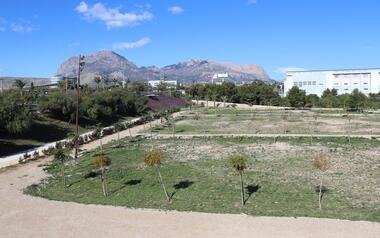 Benidorm reabre el Parque de Elche y la Séquia Mare, aunque mantiene clausuradas las zonas de juego infantiles y de descanso