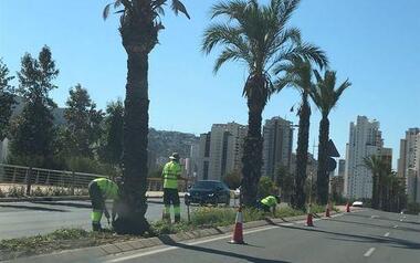 Liberales denuncia por “enésima” vez que la empresa concesionaria asuma las obras de  jardinería de la Avenida Comunidad Europea 