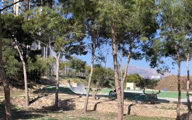 Cs pide actuar ante la presencia de orugas procesionarias en zonas verdes de Benidorm 