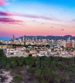 El ple adjudicarà el dilluns el nou contracte de Parcs i Jardins per cinc any…