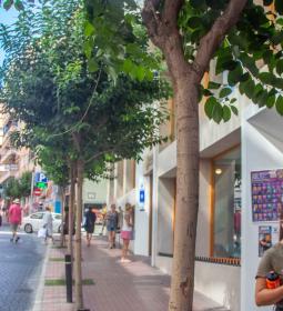 Benidorm invertirá 1,9 millones en 13 actuaciones subvencionadas por la Funda...