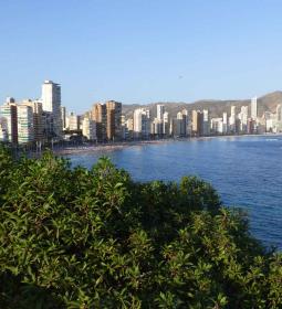 Benidorm adjudica el contrato de asistencia técnica para el Plan de Gestión I...