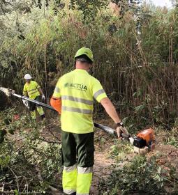 Benidorm actúa sobre una parcela forestal en el Murtal para proteger la zona...