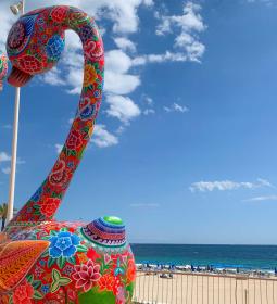 Benidorm acoge el sábado el ‘Kilómetro cultural’, una caminata para poner en...