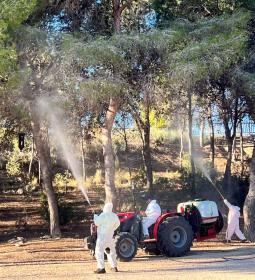 Students from the Employment Workshop carry out work against the pine process…