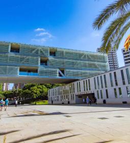 Benidorm solicita adherirse al Fondo de Impulso Económico para atender parte...