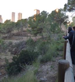 Benidorm finaliza las actuaciones contra incendios y la creación de nuevos se...