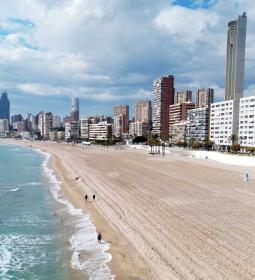 Benidorm inicia la licitación del proyecto de dunas vegetadas para la protecc...