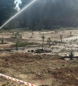 Benidorm planta 300 árboles en el entorno del aparcamiento disuasorio de la a...